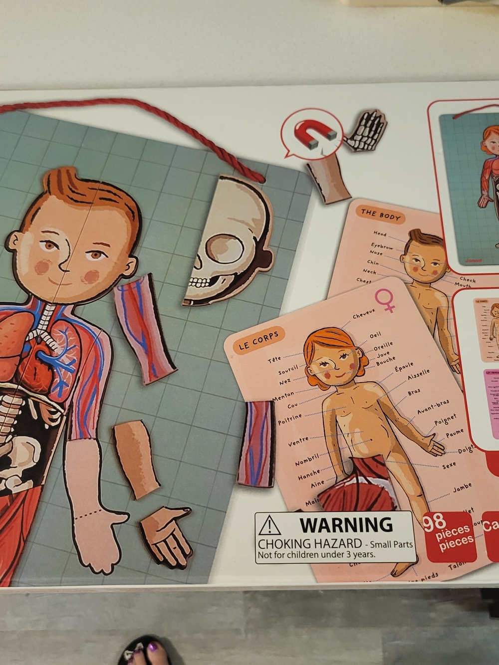 Janod Body Magnet Human Body Educational Board Game Multiple Languages, STEM